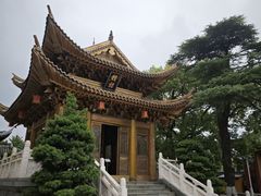 -上海东林寺(金山区)