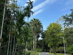 -中国科学院西双版纳热带植物园
