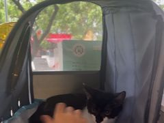 -艾贝尔宠物医院 ·中兽医·宠保定点(北门桥店)