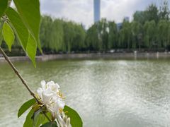 -团结湖公园