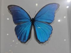 -好乐迪KTV(紫荆广场店)