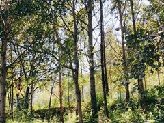-玉渡山自然风景区