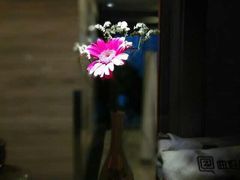 -一叶一世界·素食餐厅(锦华万达店)