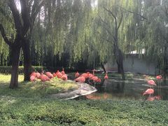 -石家庄市动物园