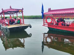 -白洋淀景区