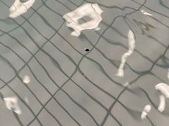 -南宫温泉水世界