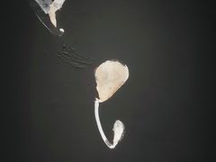 -上海油画雕塑院