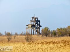 -野鸭湖国家湿地公园