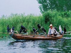 -白洋淀景区