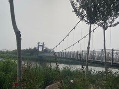 -西青郊野公园