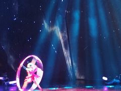 -重庆国际马戏城