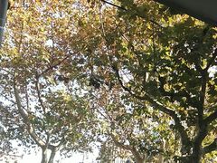 -百联川沙购物中心