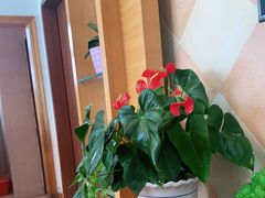 -鹏城人家海鲜酒家·23年老字号(较场尾店)