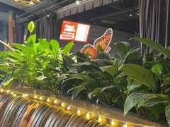 -华阳时光吧餐厅(华阳广场国际大饭店)