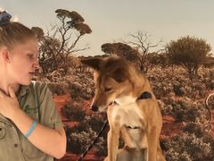 -费瑟代尔野生动物园