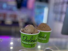 -Dooley's Premium Ice Cream