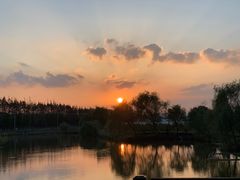 -上海长兴岛郊野公园