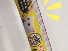 -飞行喵MR PILOT|猫舍·猫咖(静安大融城店)