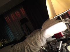 -广州天河希尔顿酒店