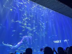 -华夏文旅西安度假区