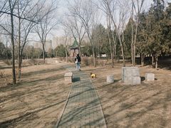 -绿堤公园