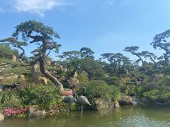 -罗红摄影艺术馆