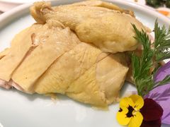 脆皮椒麻鸡-松鹤楼·非遗·苏帮菜(融科店)