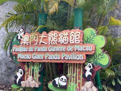 -石排湾郊野公园