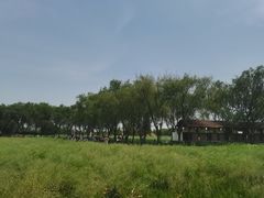 -长兴太湖图影湿地文化园