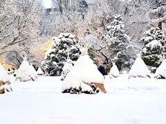 -北海道厅旧本厅舍(旧本庁舎)