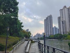 -苏州河梦清园环保主题公园