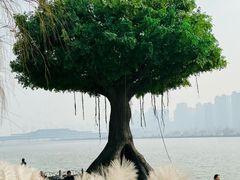 -咸阳湖景区
