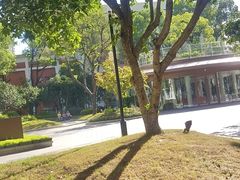 -上海市总工会沪东工人文化宫