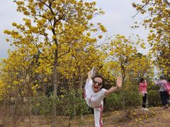 -天适樱花悠乐园