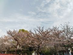 -堤角公园