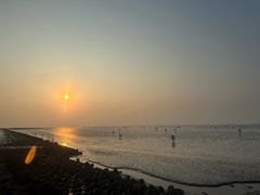 -南汇新城海滩