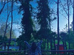 -合肥滨湖国家森林公园