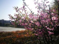 -江南大学(蠡湖校区)