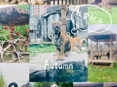 -上海野生动物园