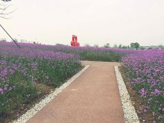 -西京湾花海
