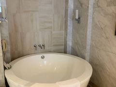 -东莞松山湖凯悦酒店