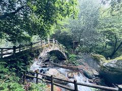 -西岭雪山大飞水景区