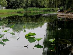 -望湖公园