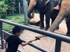 -富国岛珍珠游乐园