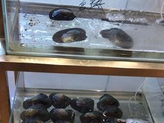 -十八字金·银饰·开蚌DIY·手工体验团建(富力广场店)