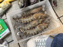 -朝陽市場