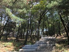 -沂蒙山旅游区云蒙景区(蒙山国家森林公园)