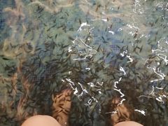 -东方之珠洗浴休闲广场(大港店)