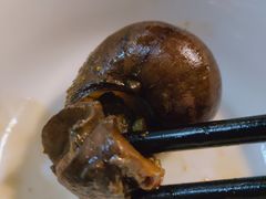 -食爺炭炉鸡煲·烧烤
