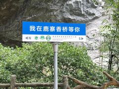 -香桥岩溶国家地质公园